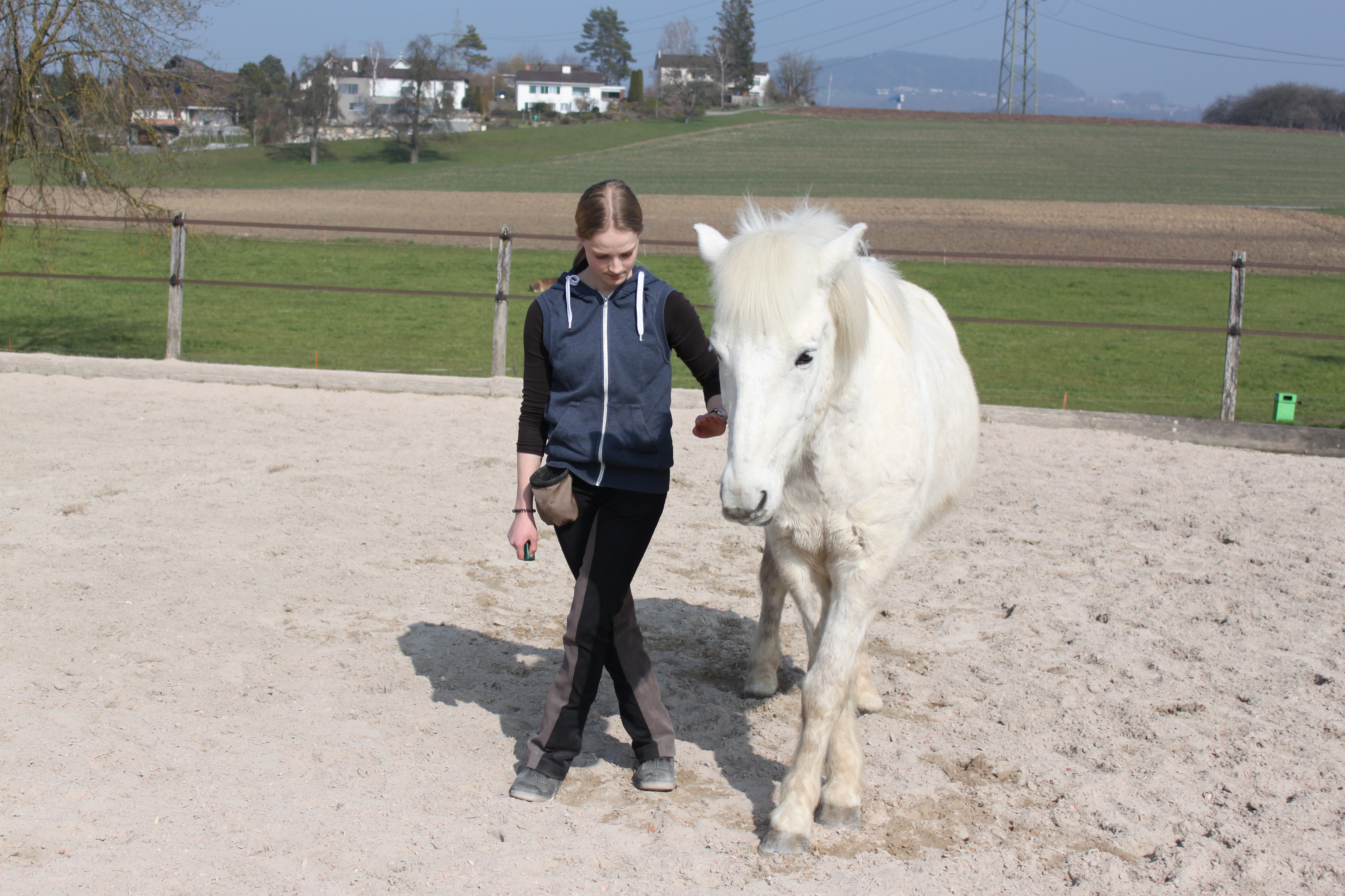 Apall & Röck ( Clickerbuch) 041