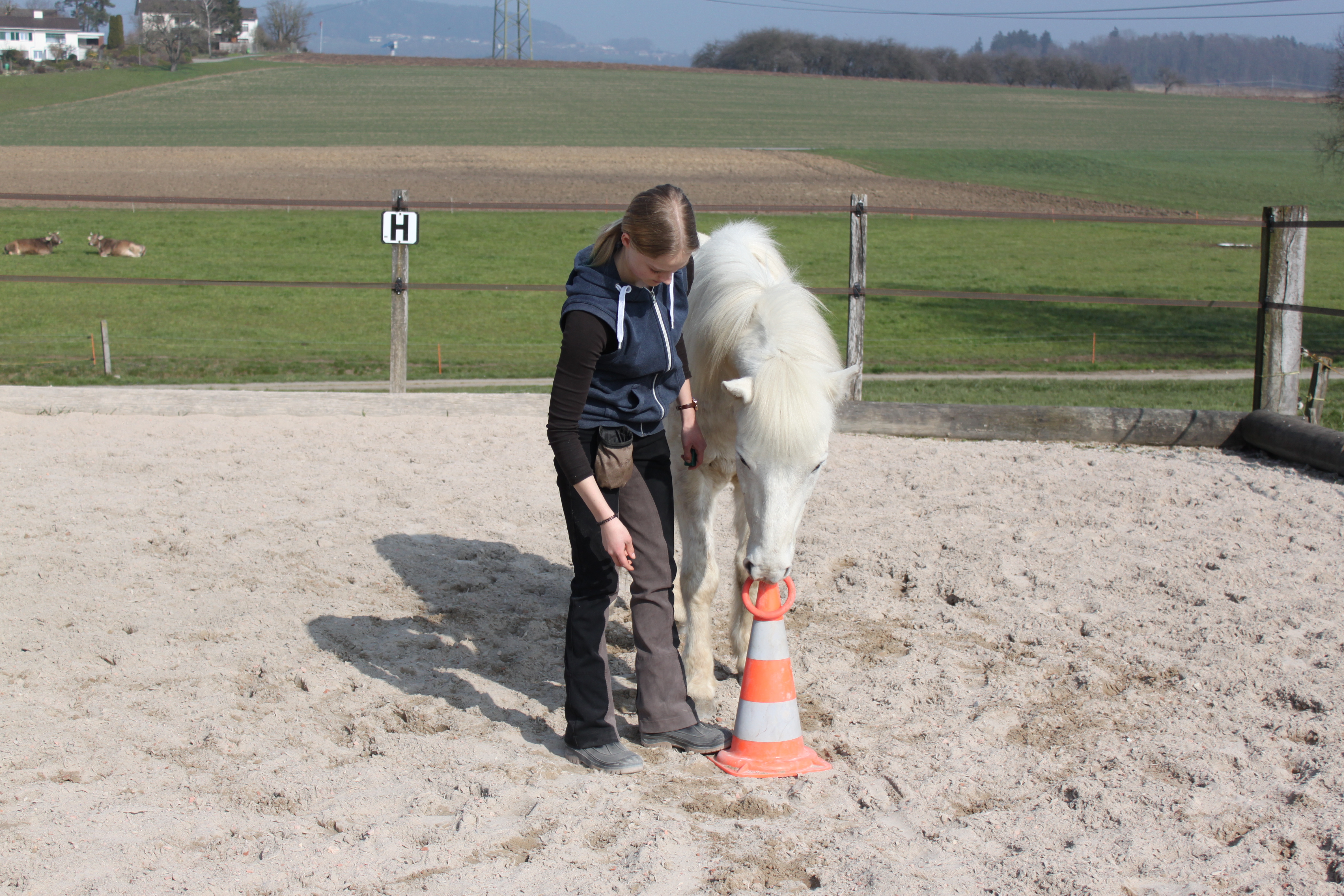 Apall & Röck ( Clickerbuch) 086