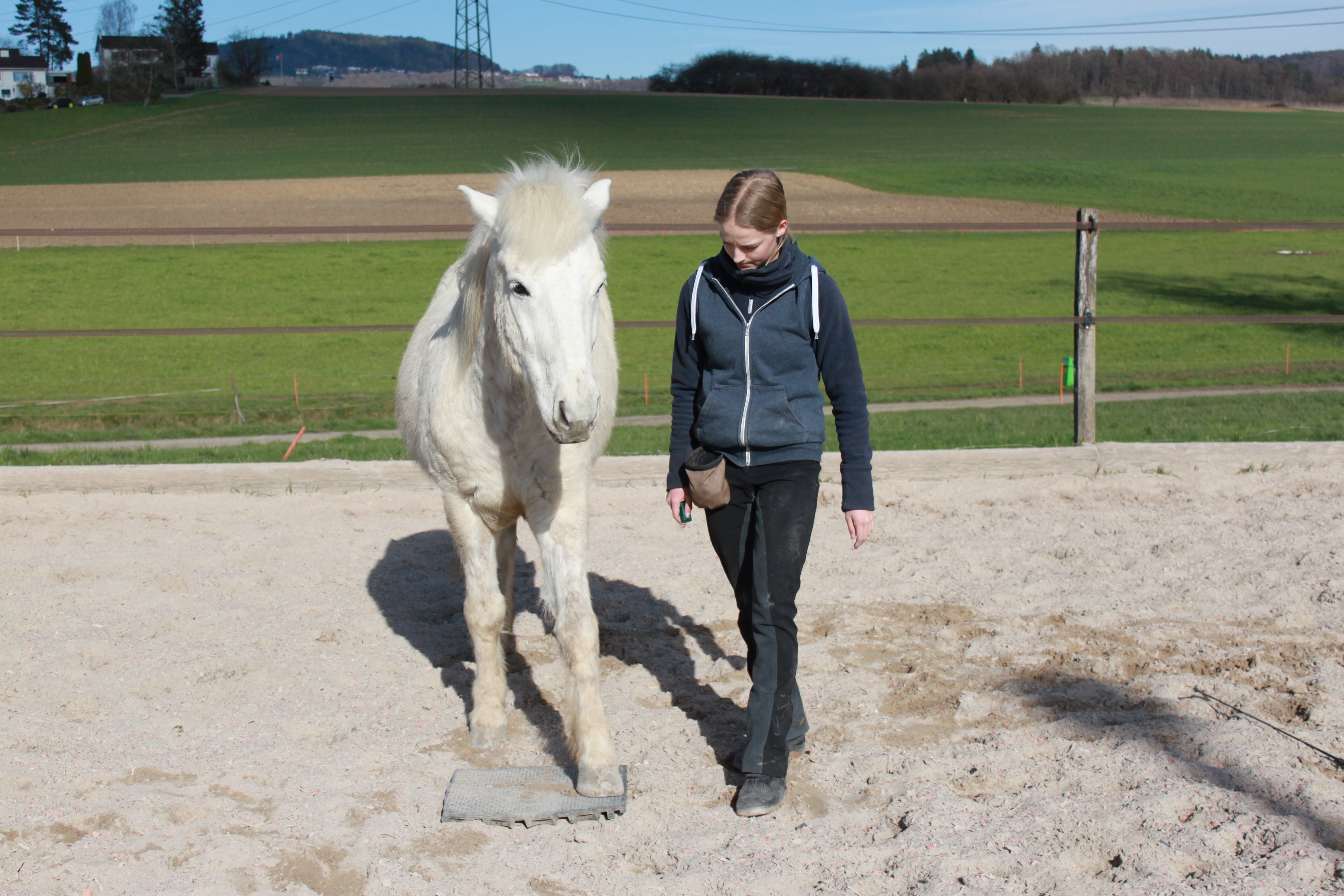 Clickerbuch ( Apall& Feginn) 013