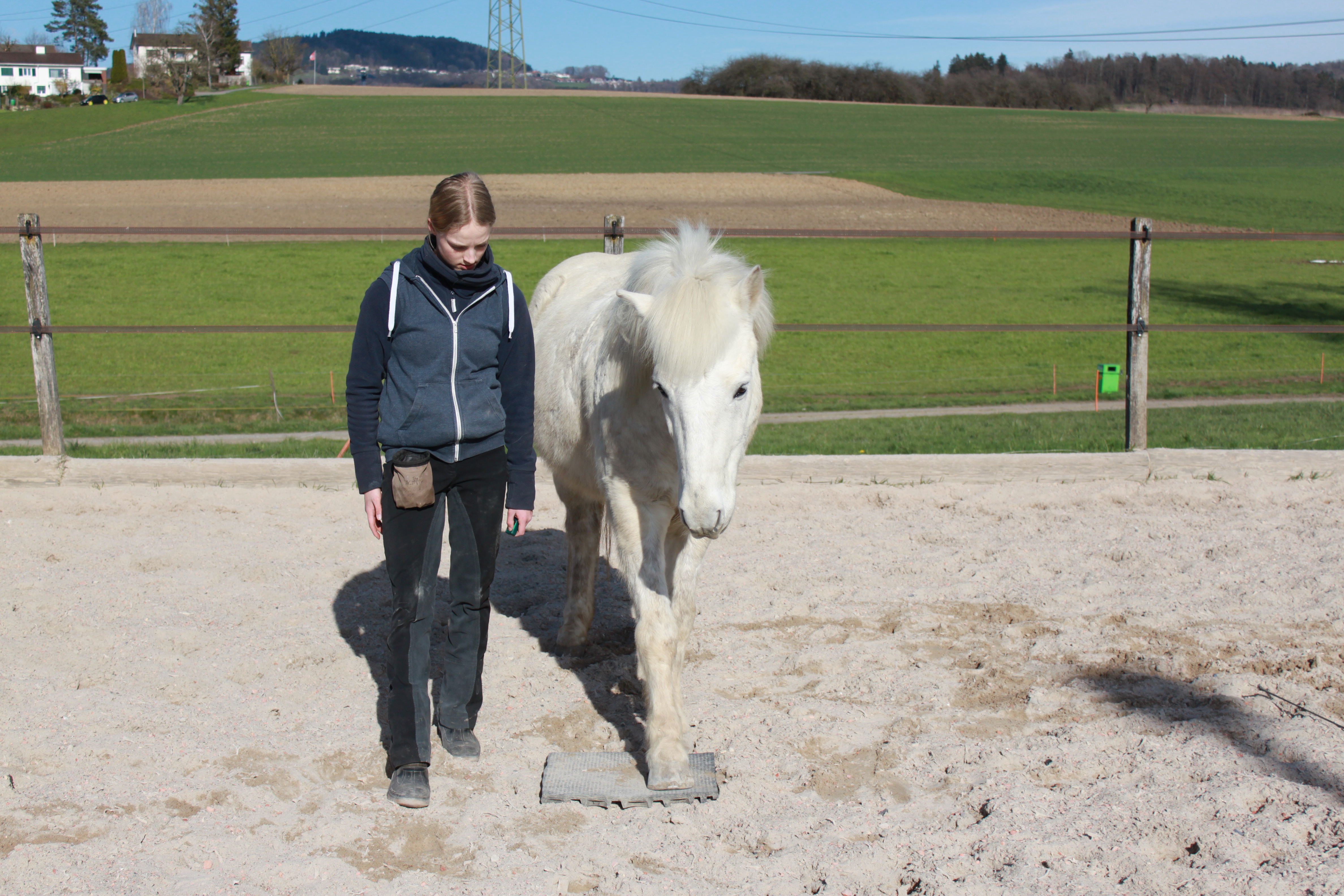 Clickerbuch ( Apall& Feginn) 018
