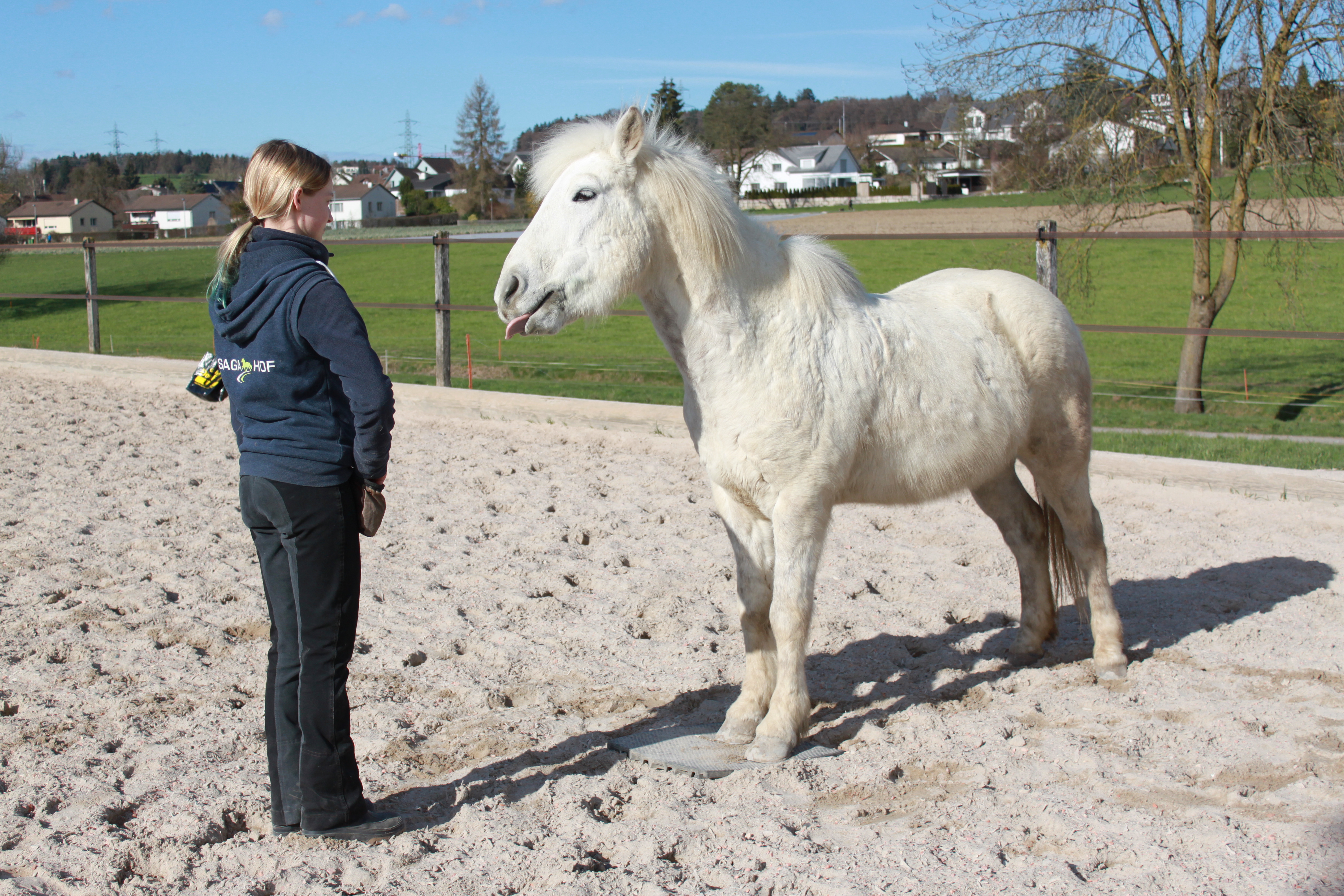 Clickerbuch ( Apall& Feginn) 020