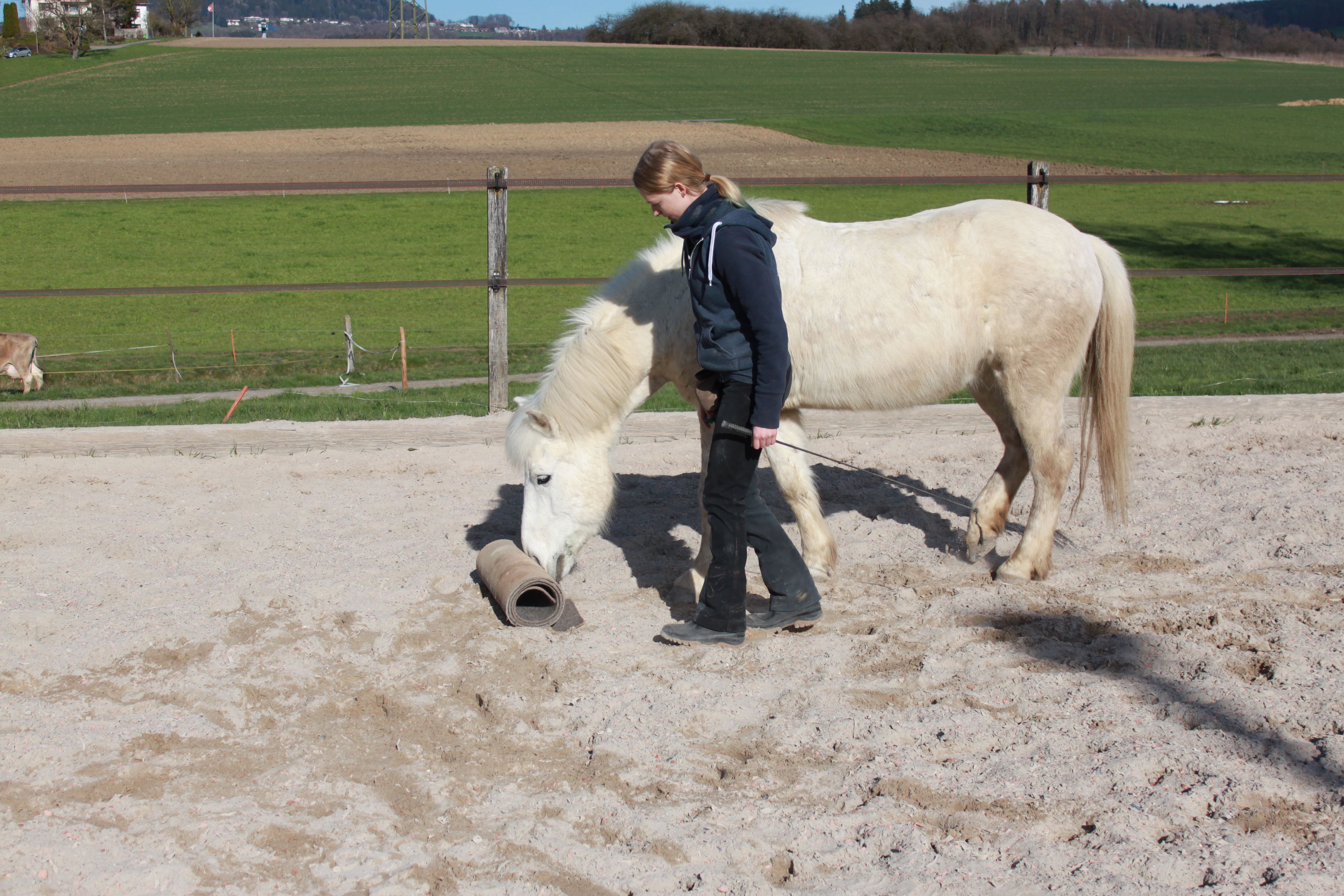 Clickerbuch ( Apall& Feginn) 026