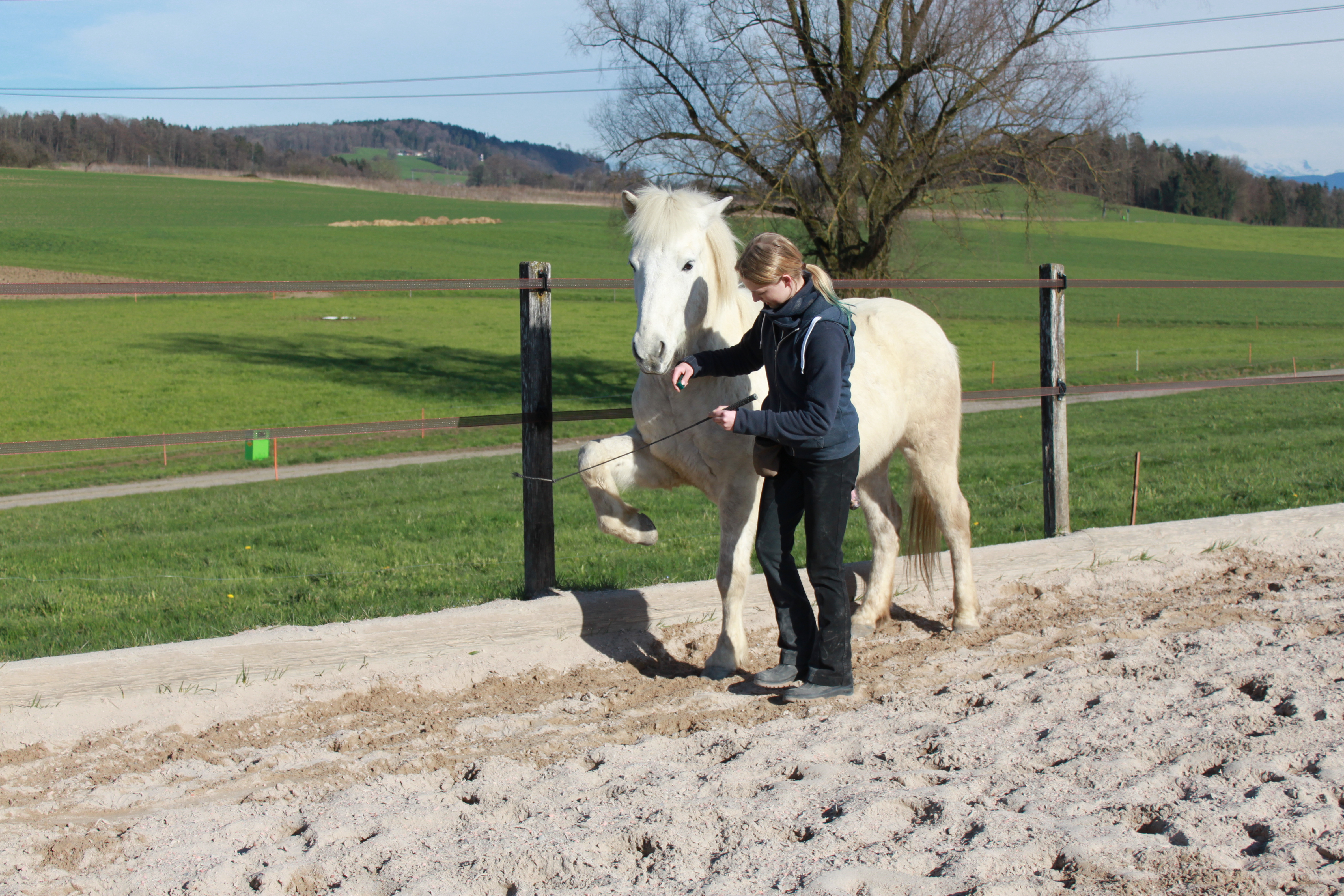 Clickerbuch ( Apall& Feginn) 079