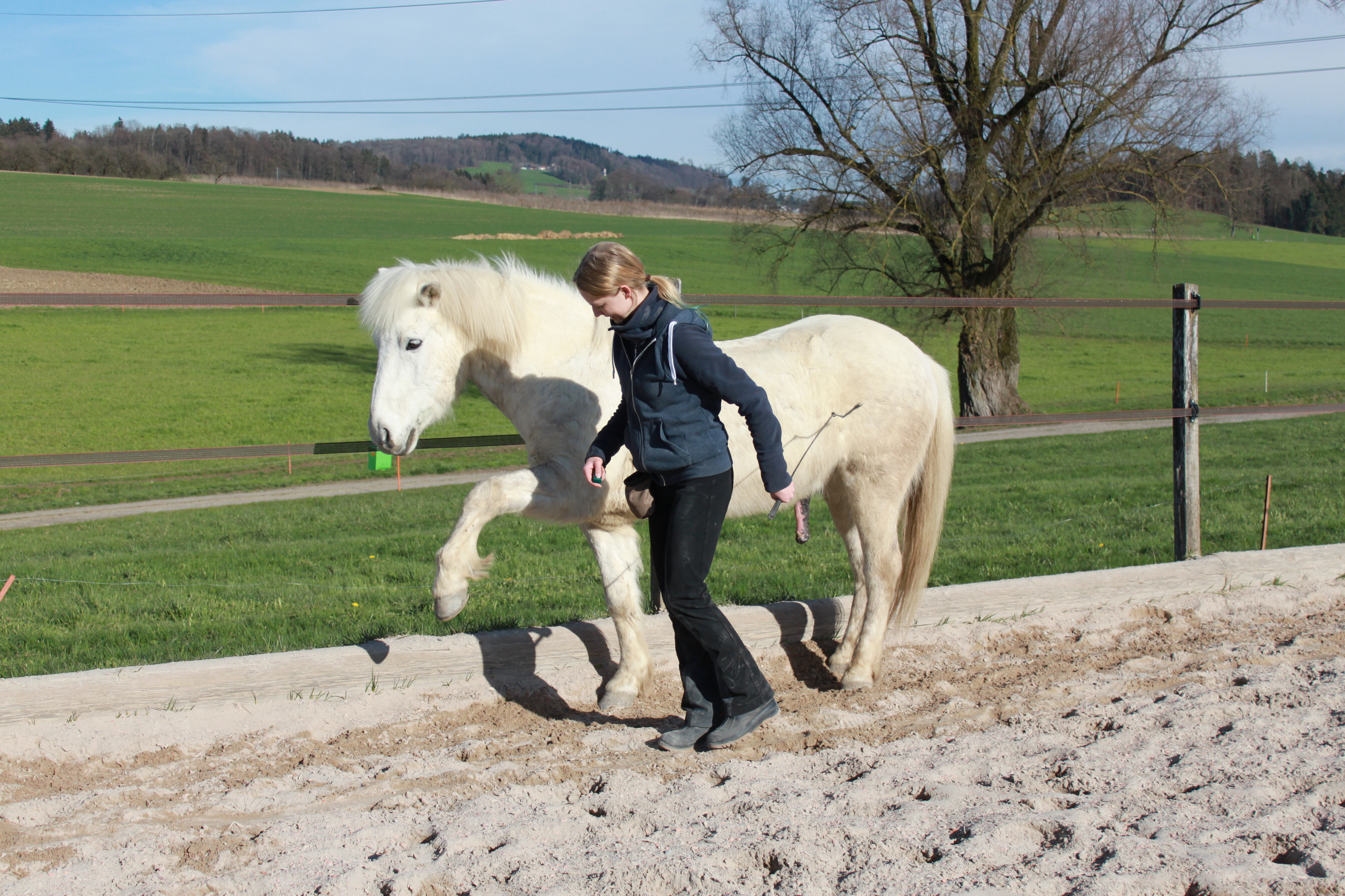 Clickerbuch ( Apall& Feginn) 083