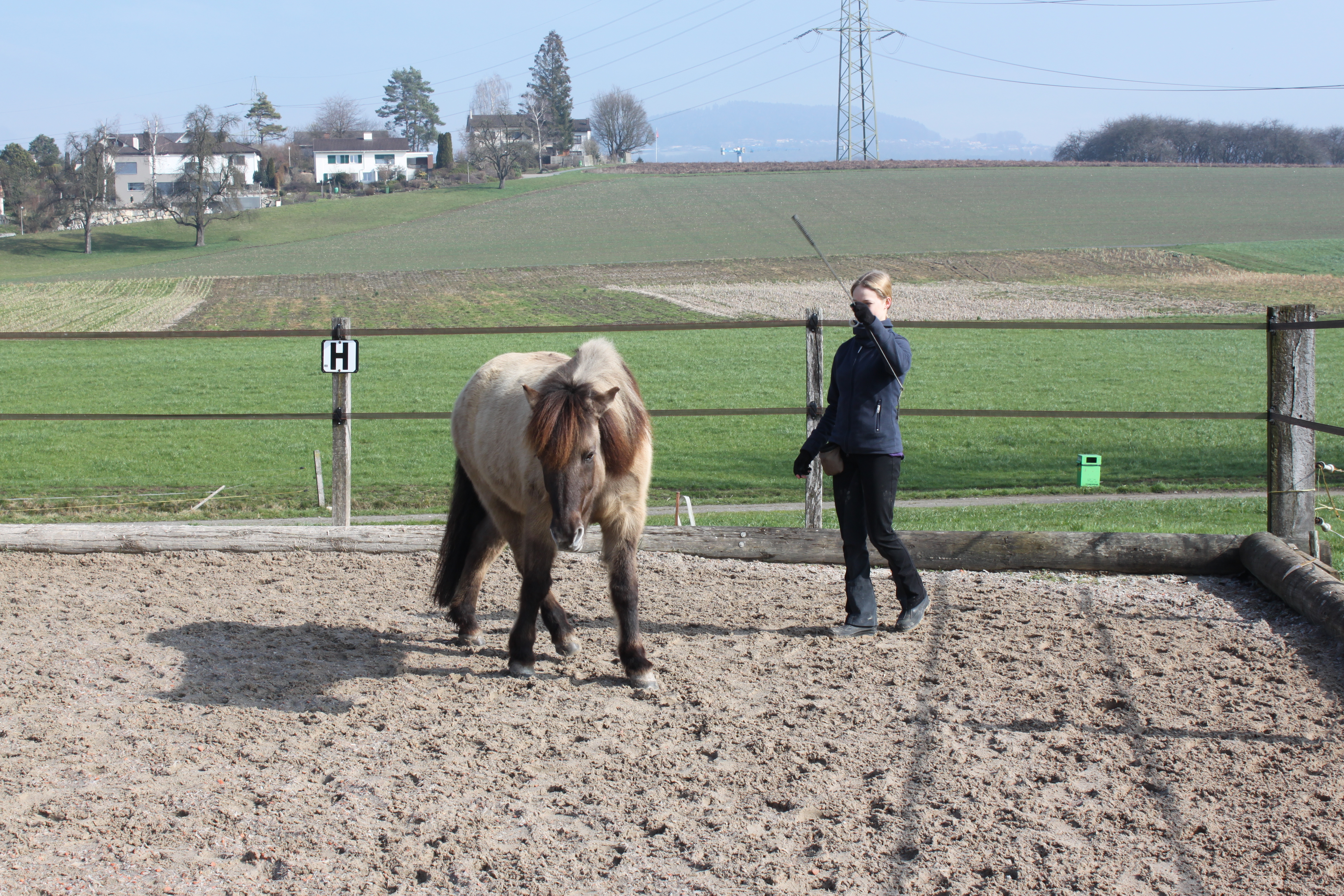 Clickerbuchbilder 041