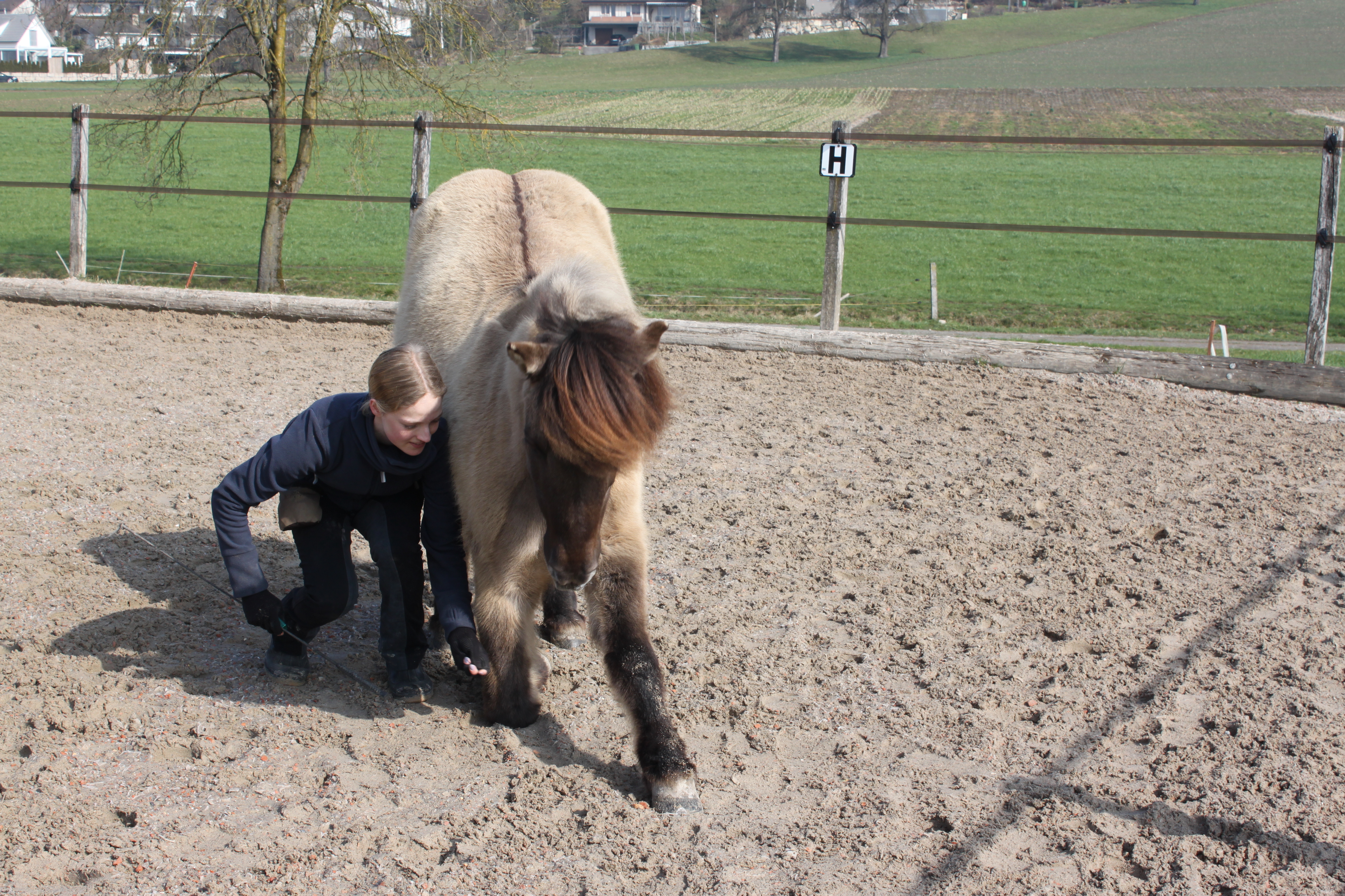 Clickerbuchbilder 061
